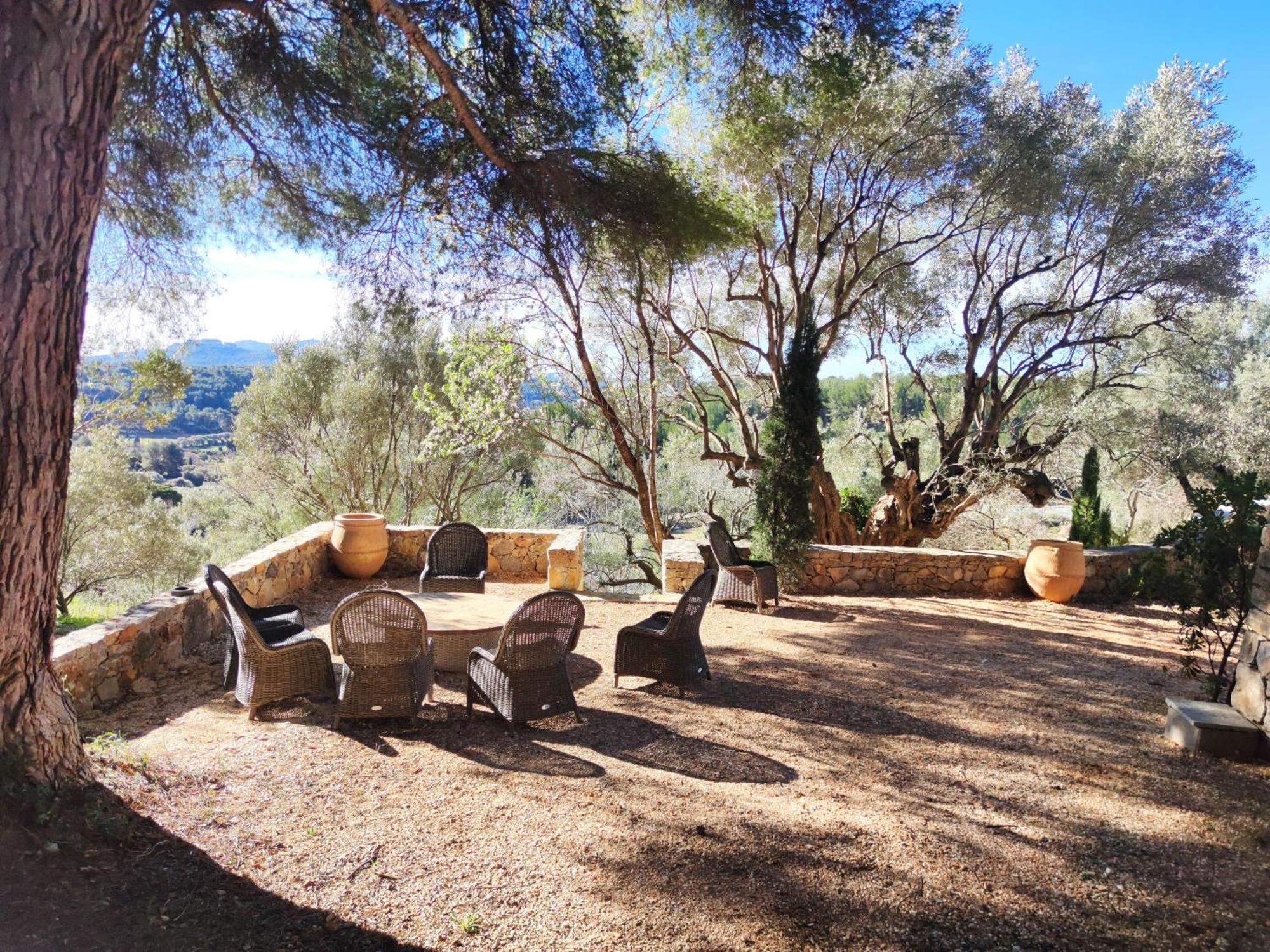 Villa Des Oliviers Sanary-sur-Mer Luaran gambar